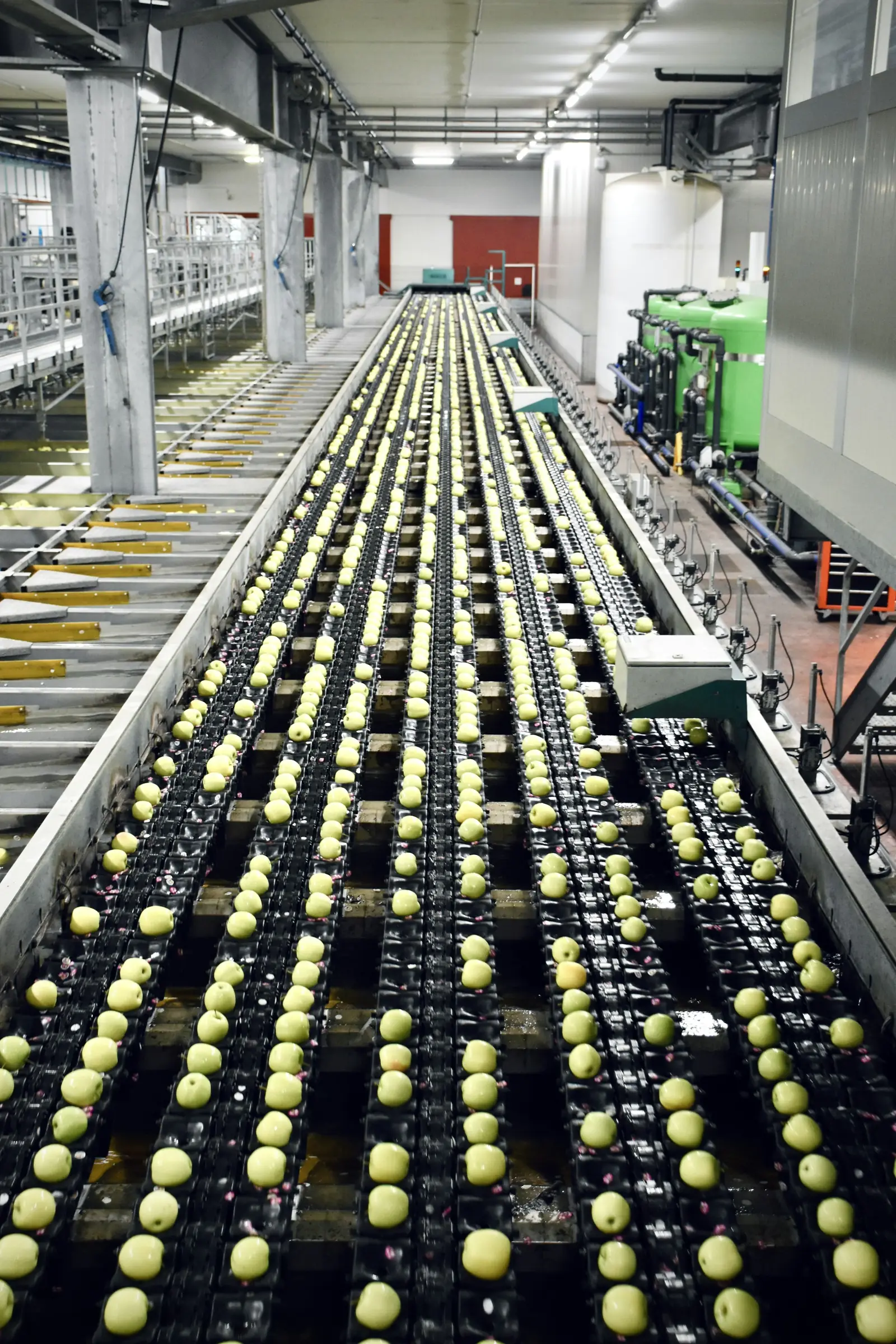 Food production line