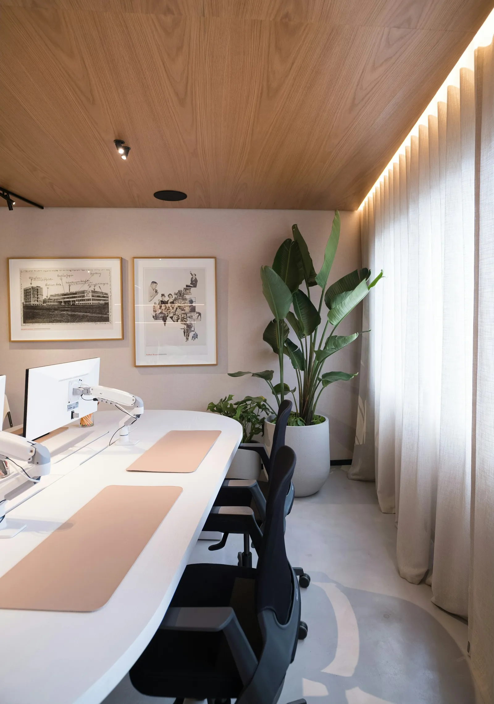 Bright open-plan office with plants